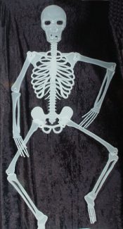 Hang this 5 feet tall skeleton in your house on Halloween. Try putting him on the back of the loo