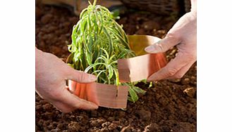 Unbranded Slug Bands - Small