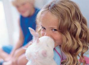 Slumberland- Red Seal 700 Series- 4FT 6" Divan Bed