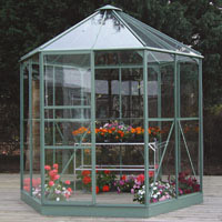 Small Hexagonal Greenhouse - Sage