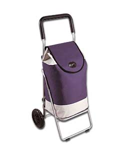 Small Lightweight Shopping Trolley