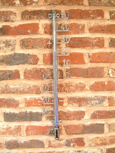 Unbranded Small Metal Filigree