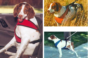 Small Vest Harness for dogs