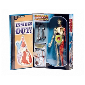 Unbranded SmartLab Human Body Science Kit