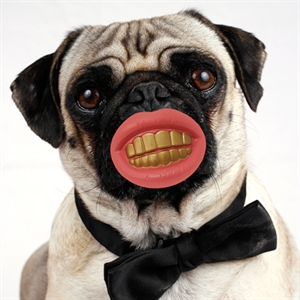 Unbranded Smile Dog Toy