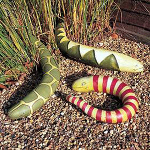 Unbranded Snake Gourd Seeds