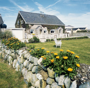 Unbranded Snowdon View