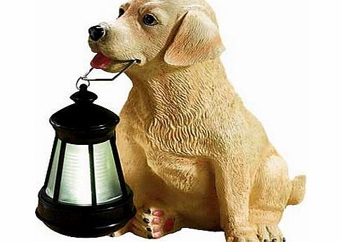 This Solar dog light makes a lovely novelty garden feature and gift for dog lovers. Painted finish. Size H21. W15. D24cm. Suitable for use with low energy bulbs. Bulbs required: 1 x 0.06W LED light (included).