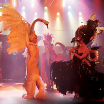 Son Amar Dinner Show - Adult - Gold Menu (Northern Resorts)