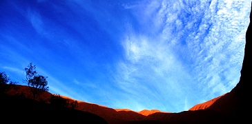 Unbranded Sound of Silence Dinner