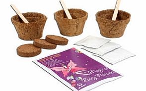 Unbranded Sow and Grow Magical Fairy Flowers