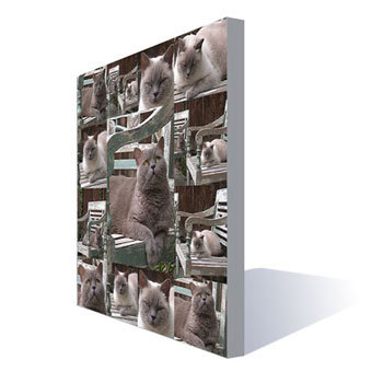 Unbranded Spectacular Personalised Pet Canvas Photo Montage