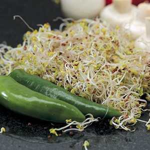 Unbranded Speedy Seeds Broccoli