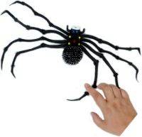 A very large plastic spider which you can use to decorate a wall or dangle from the ceiling.   Do