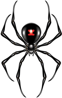 Unbranded Spider Jointed Cut-Out (1.3m)