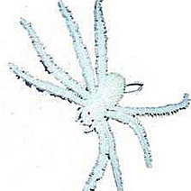 Unbranded SPIDER WITH ELASTIC