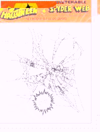 Spiders Web w/spider