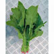 Unbranded Spinach Oriento F1 Seeds