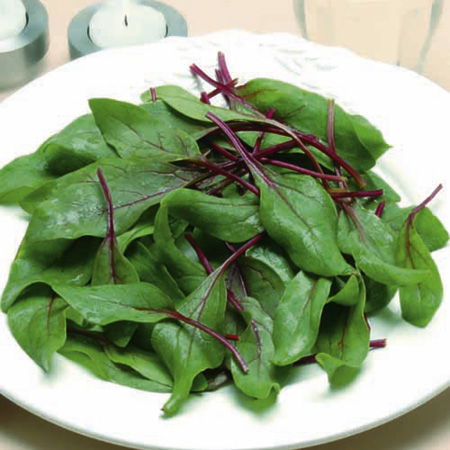 Unbranded Spinach Reddy F1 Seeds Average Seeds 250