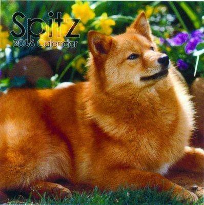 Spitz Calendar