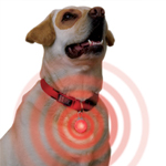 Unbranded Spotlit LED Collar Light