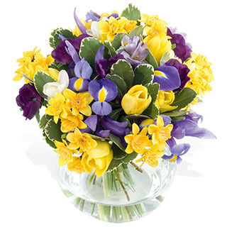 Unbranded Spring Time