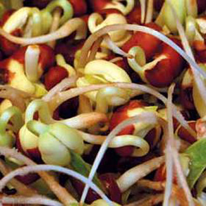 Unbranded Sprouting Seeds - Black Eyed Peas