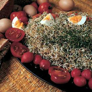 Unbranded Sprouting Seeds Alfalfa