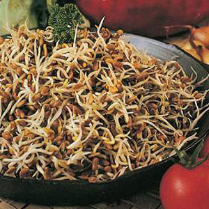 Unbranded Sprouting Seeds Fenugreek