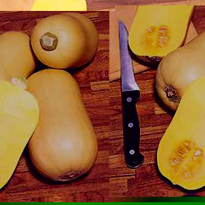Unbranded Squash Avalon F1 Hybrid Seeds