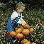 Unbranded Squash Baby Bear Seeds 438878.htm