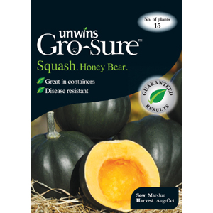 Unbranded Squash Honey Bear Vegetable Seeds