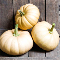 Unbranded Squash Seeds - Autumn Crown F1