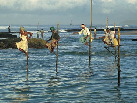 Unbranded Sri Lanka Grand Tour