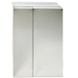 Stainless Steel 2 Door Cabinet