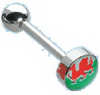 Stainless Steel Welsh Dragon Tongue Stud