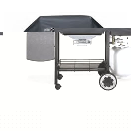 Standard Cover for Genesis Silver B 1000 spirit