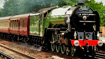 Unbranded Steam Train Journey