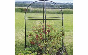 Unbranded Steel Round Fruit Cage x 1