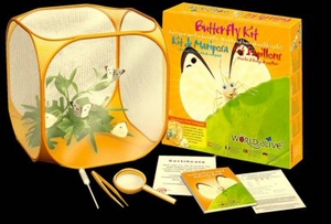 Unbranded Stick Insect Kit