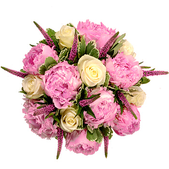 Unbranded Strawberries and Cream - flowers