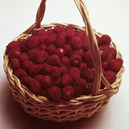 Unbranded Strawberry Mignonette Seeds Average Seeds 550