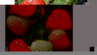 Unbranded Strawberry Plants - Elegance