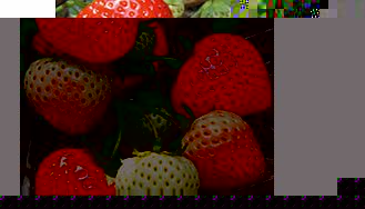 Unbranded Strawberry Plants - Elegance