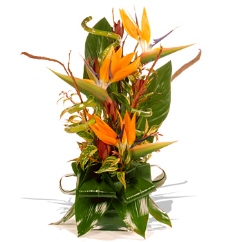 Exotic Flower Arrangements on Alert Link To This Page More Unbranded Flowers And Flower Delivery