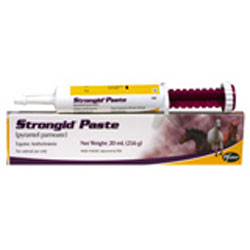 Unbranded Strongid Caramel Equine - Single Syringe