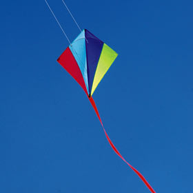 Unbranded Stunt Master Kite