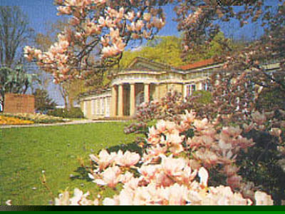 Cardboard jigsaw puzzle