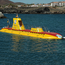 Unbranded Submarine Safari - Adult