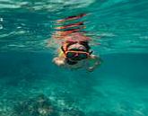 Unbranded Sun, Sand and Snorkelling - Child